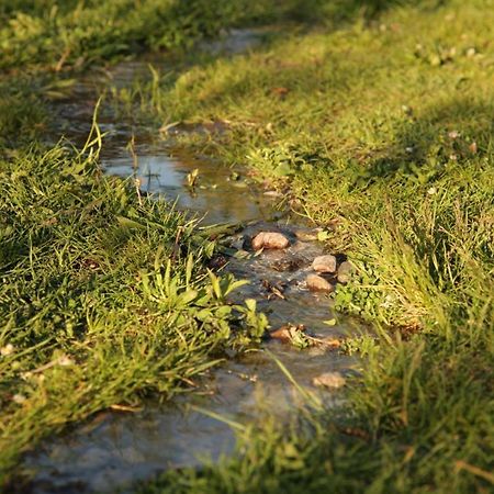 Grosse Wohnung / Haushaelfte In Peetzig Am See Angermunde Εξωτερικό φωτογραφία
