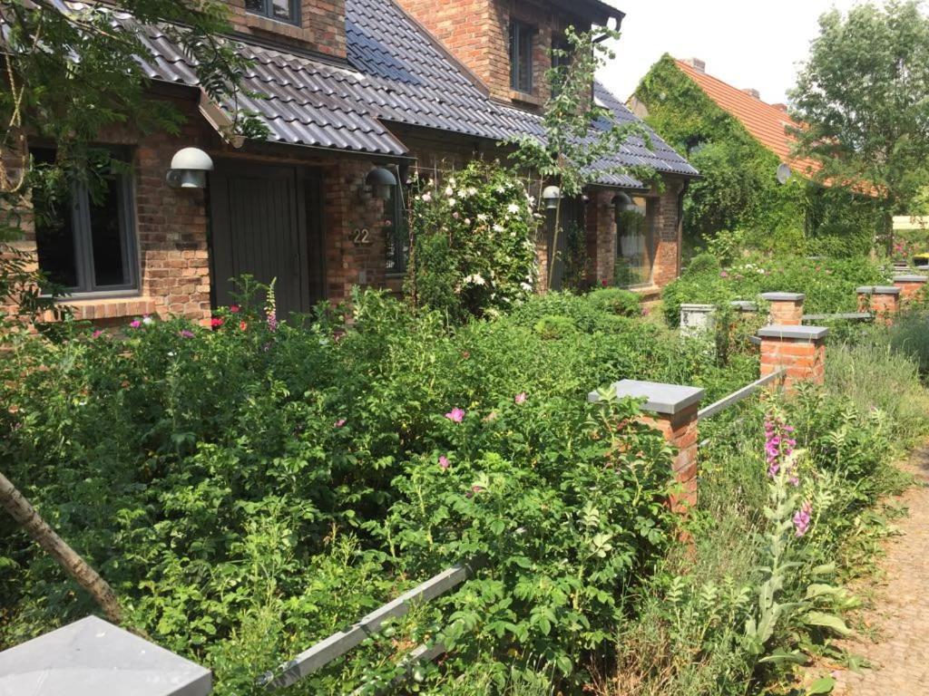 Grosse Wohnung / Haushaelfte In Peetzig Am See Angermunde Εξωτερικό φωτογραφία
